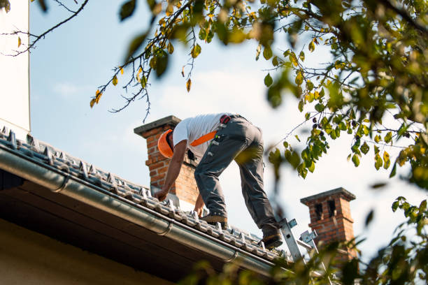 Best New Roof Installation  in Elroy, NC