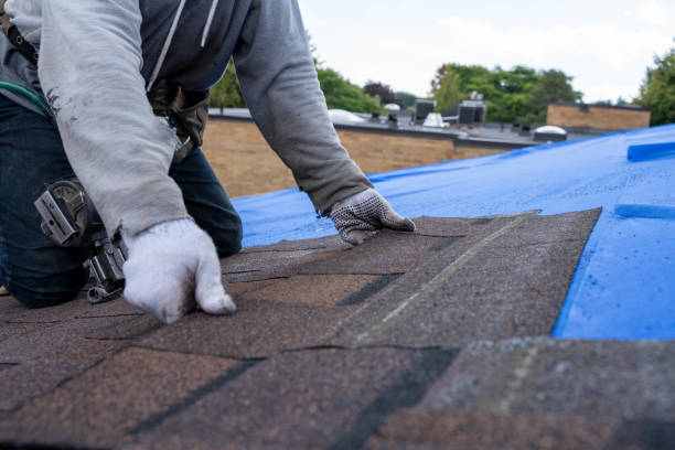 Best Local Roofing Companies  in Elroy, NC
