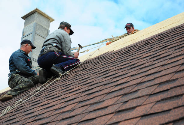 Professional Roofing Contractor in Elroy, NC